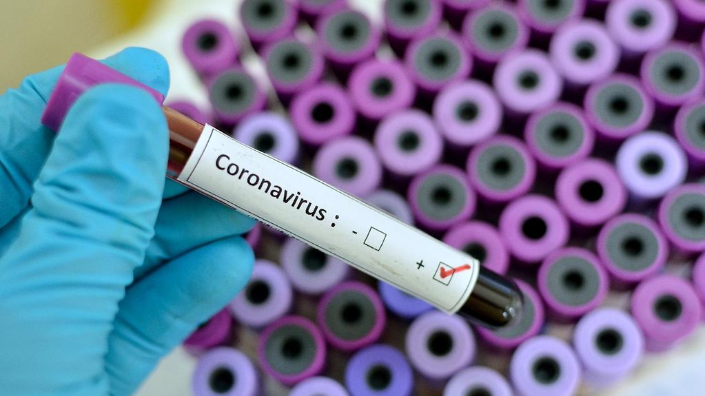 تزریق بیش از 44 هزار دز واکسن کرونا در پلدشت