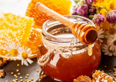 پیش‌بینی برداشت بیش از 2 هزار تن عسل از کندوهای مستقر در طبیعت چالدران