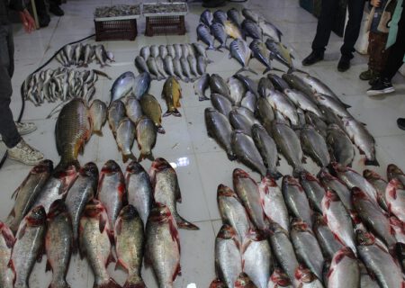 بازار ماهی فروشان پلدشت