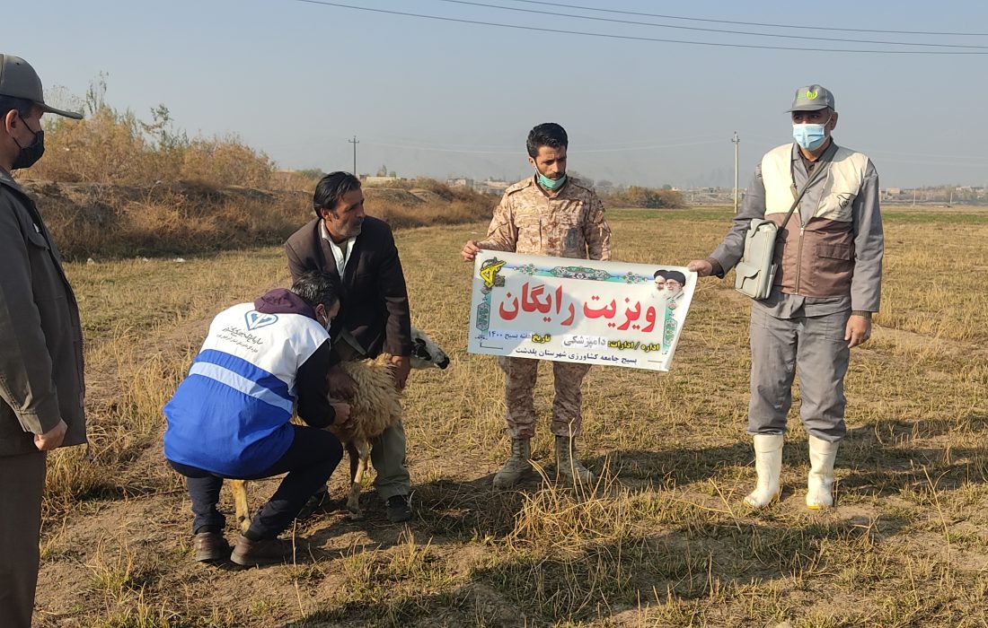 اعزام گروه جهادی دامپزشکی به روستاهای محروم پلدشت