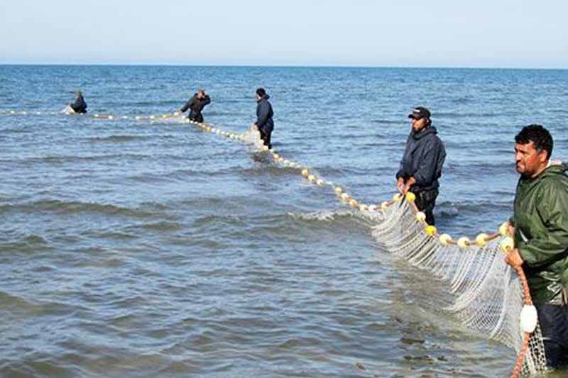 صید ماهی در سد ارس پلدشت ممنوع شد/ رها سازی ۳ میلیون قطعه انواع بچه ماهی در رودخانه ارس