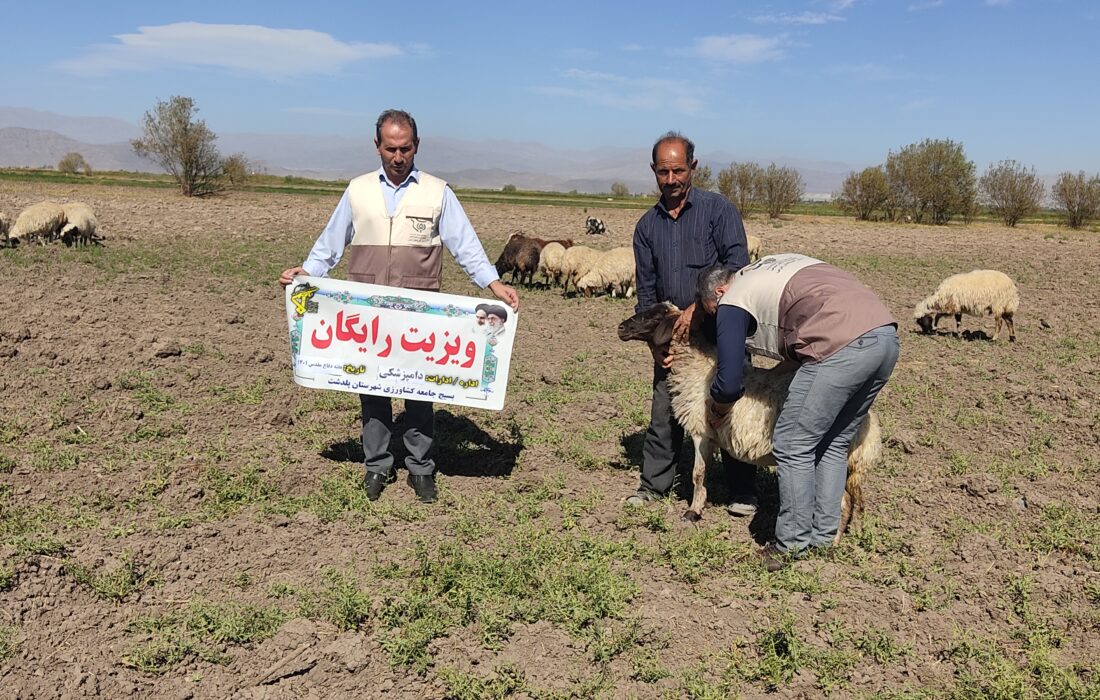 اعزام گروه جهادی دامپزشکی به روستاهای محروم پلدشت