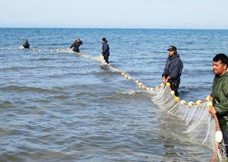 تأمین ماهیان ۴۳۰ منبع آبی توسط مرکز شهید کاظمی پلدشت
