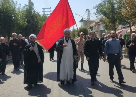 پلدشت در سالروز شهادت امام رضا (ع) به سوگ نشست