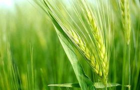 صدور ۱۱ مورد اخطار توقف ساخت‌وساز