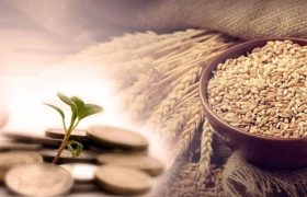 جمع‌آوری ۳۵ میلیارد ریال زکات در چالدران
