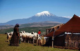 کسب رتبه نخست تولید شیر توسط عشایری
