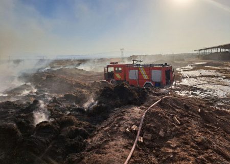 آتش‌سوزی ارس دام آرشام مهار شد