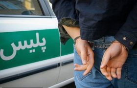 پایان ماجراجویی‌های زورگیر حرفه‌ای در پلدشت