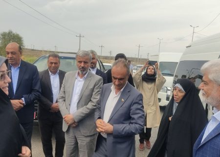 قول مساعدت رئیس کمیسیون بهداشت مجلس برای حل مشکلات پلدشت