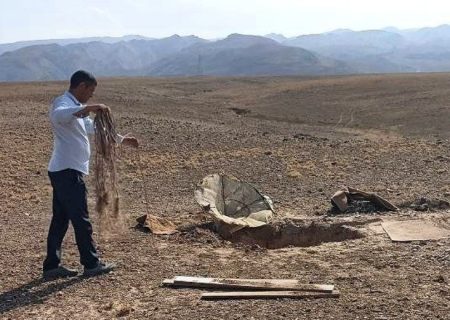 دستگیری دو زنده‌گیر پرندگان شکاری در پلدشت